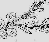 wpeE.jpg (5305 byte)