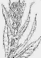 wpe7.jpg (7627 byte)